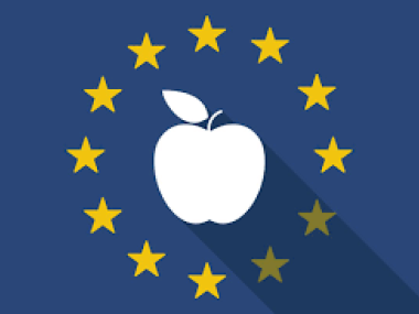 Finansieret af EU